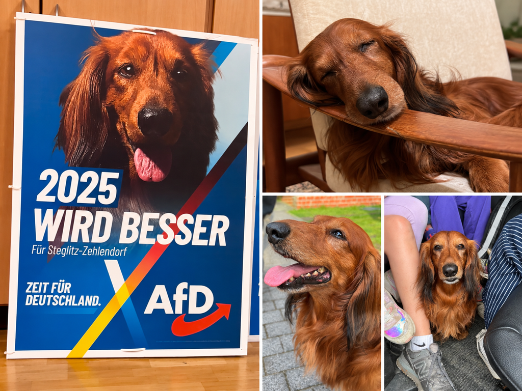 rudi-wahlkampf-2025-erinnerungen-collage-2026
